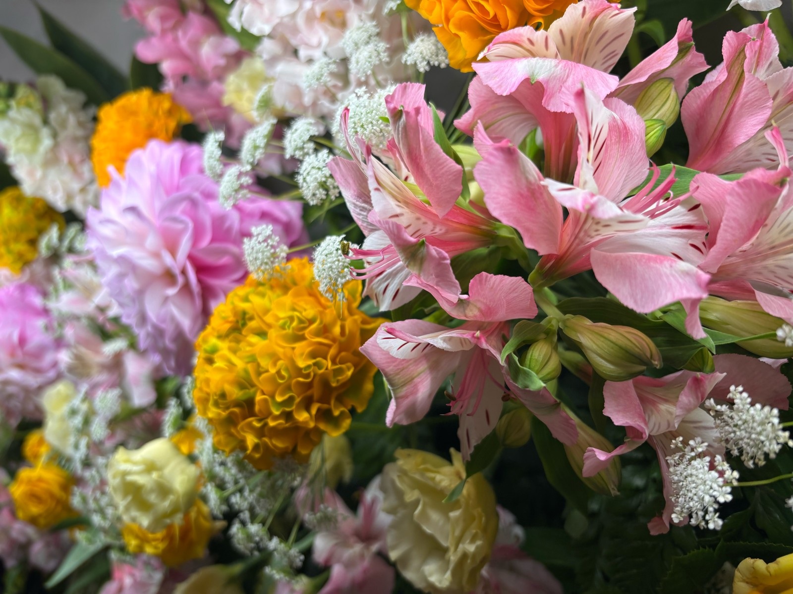 お花2