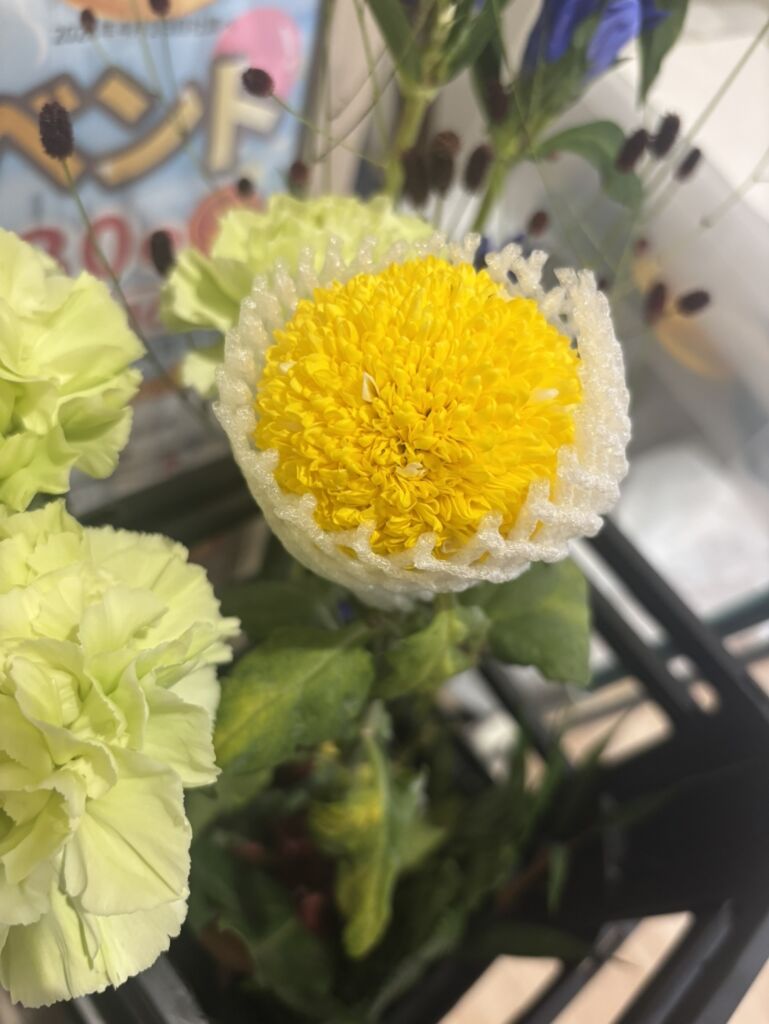 まるでお月様のような濃い黄色い花びらがふわっと咲き開いたピンポンマムというお花の参考写真
